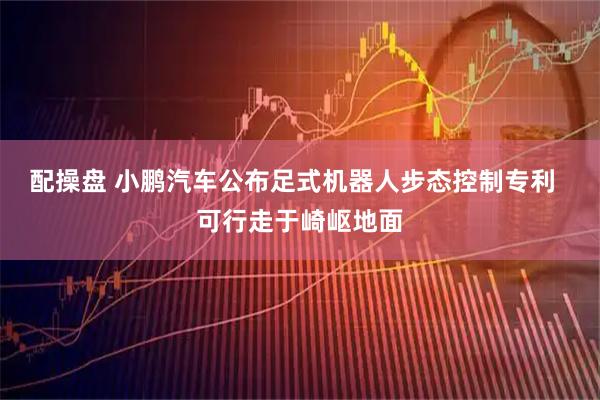 配操盘 小鹏汽车公布足式机器人步态控制专利  可行走于崎岖地面