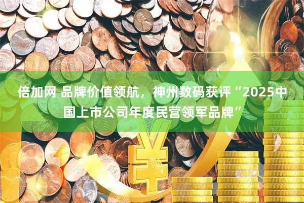 倍加网 品牌价值领航，神州数码获评“2025中国上市公司年度民营领军品牌”