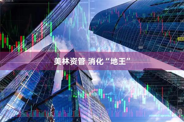 美林资管 消化“地王”