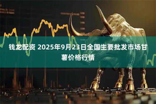 钱龙配资 2025年9月23日全国主要批发市场甘薯价格行情