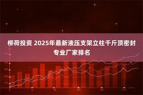 柳荷投资 2025年最新液压支架立柱千斤顶密封专业厂家排名