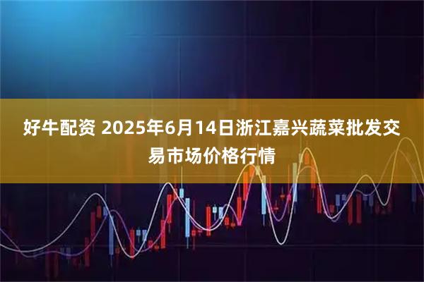 好牛配资 2025年6月14日浙江嘉兴蔬菜批发交易市场价格行情
