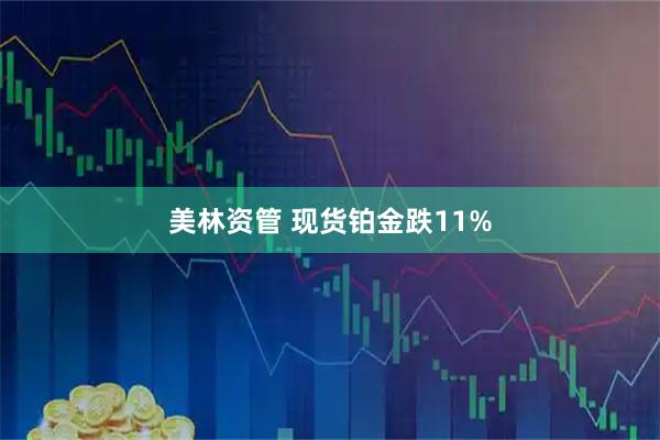 美林资管 现货铂金跌11%