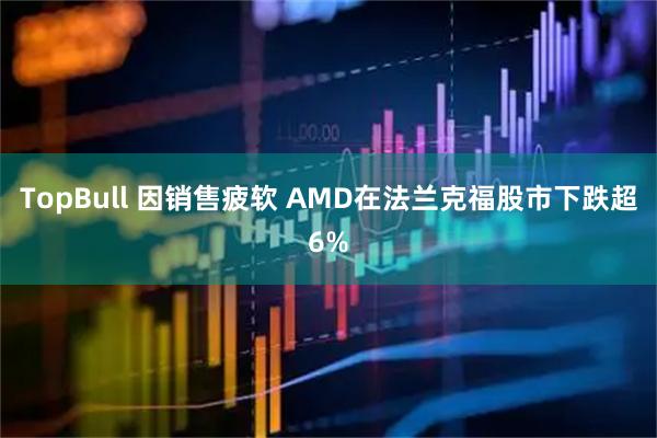 TopBull 因销售疲软 AMD在法兰克福股市下跌超6%